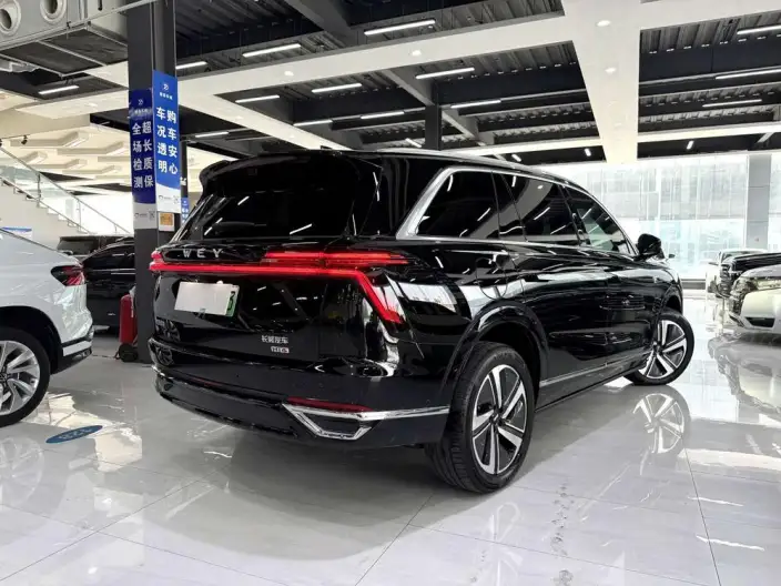 Wey Blue Mountain 2025 Model 4WD Max – фото 6