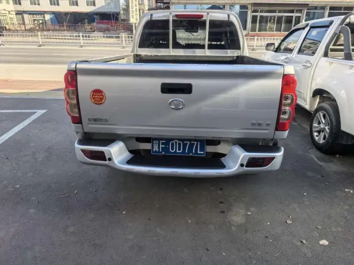Wingle 5 2021 Model 2.4L Petrol 4WD Enterprising Model Large double row China VI 4K22D4M