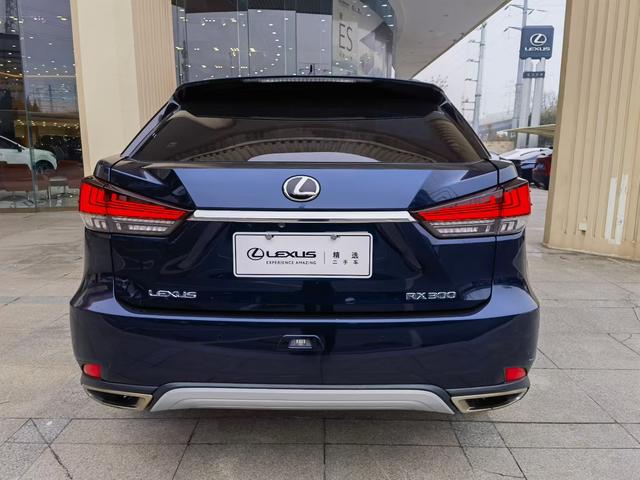Lexus RX Модель 2020 года 300 4WD Elegant Edition Country VI – фото 8