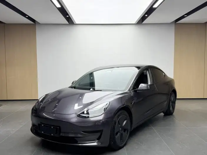 Model 3 2022 Model Rear-wheel drive version – фото 1