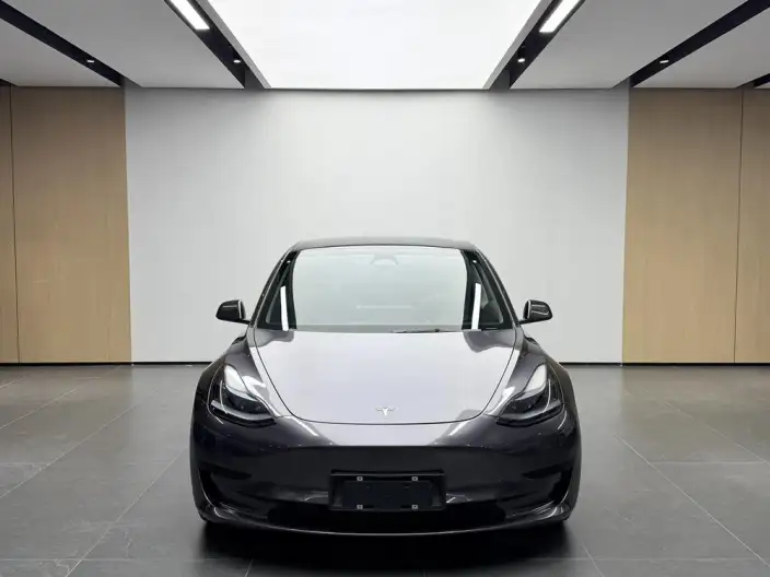 Model 3 2022 Model Rear-wheel drive version – фото 2