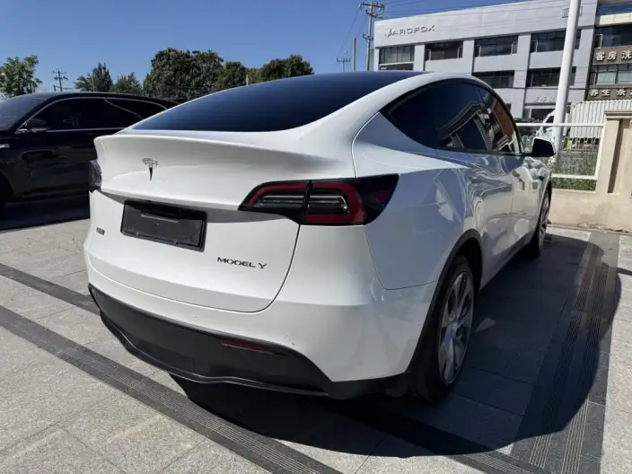 Model Y 2022 Model Facelift Long Battery Life Pro All-wheel drive version – фото 6