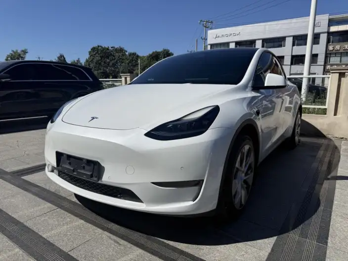 Model Y 2022 Model Facelift Long Battery Life Pro All-wheel drive version – фото 10
