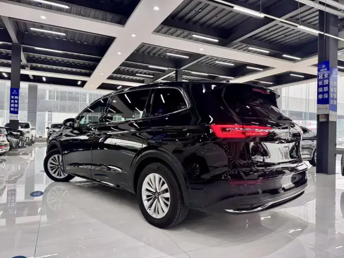 Viloran 2024 Model 330TSI Business Edition – фото 4