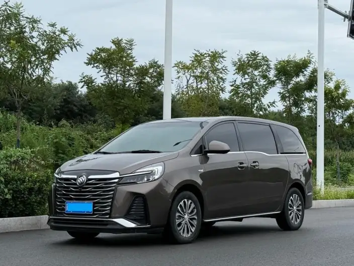 Buick GL8 2022 Model Facelift Business class 2.0T Noble Model – фото 1