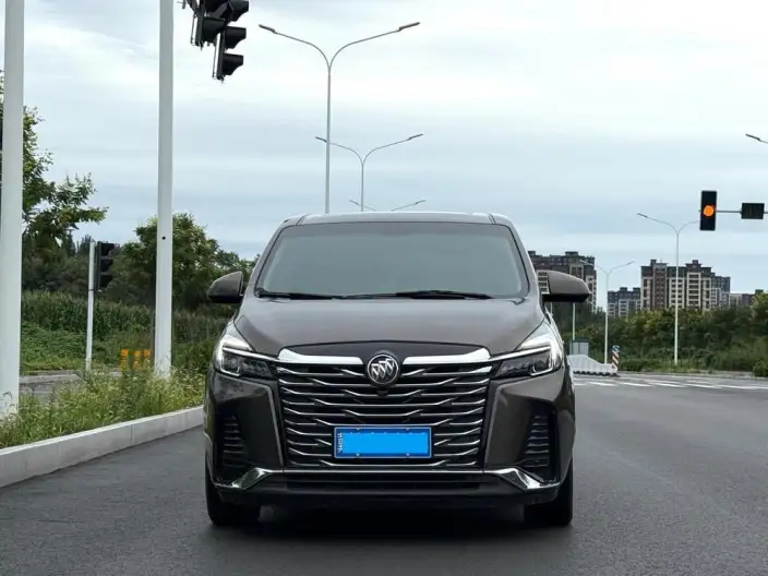 Buick GL8 2022 Model Facelift Business class 2.0T Noble Model – фото 2