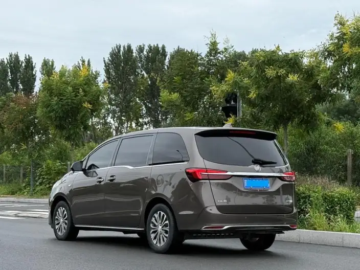 Buick GL8 2022 Model Facelift Business class 2.0T Noble Model – фото 4