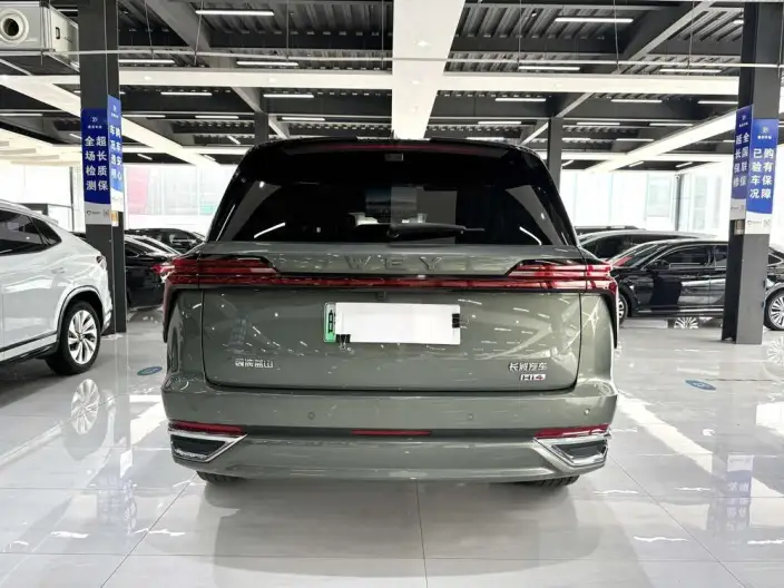 Wey Blue Mountain 2025 Model 4WD Max – фото 5