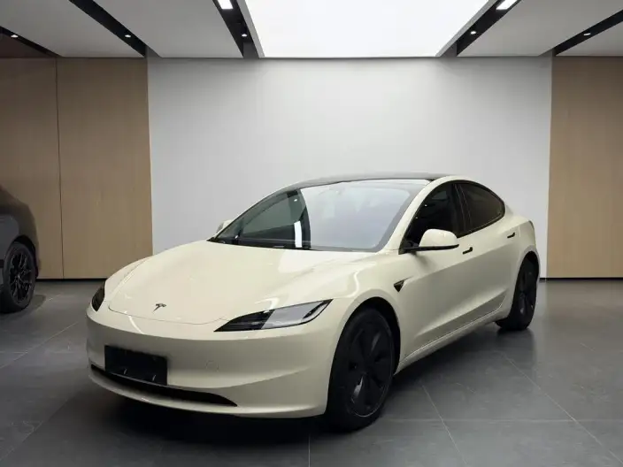 Model 3 2025 Model Rear-wheel drive version – фото 1