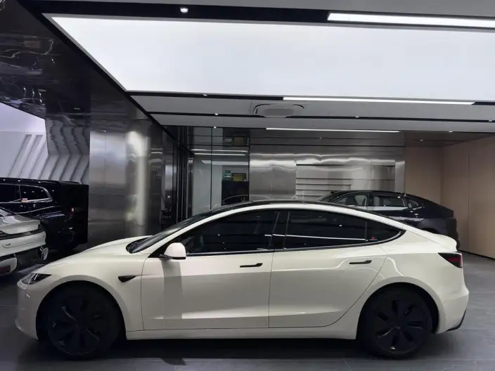 Model 3 2025 Model Rear-wheel drive version – фото 3