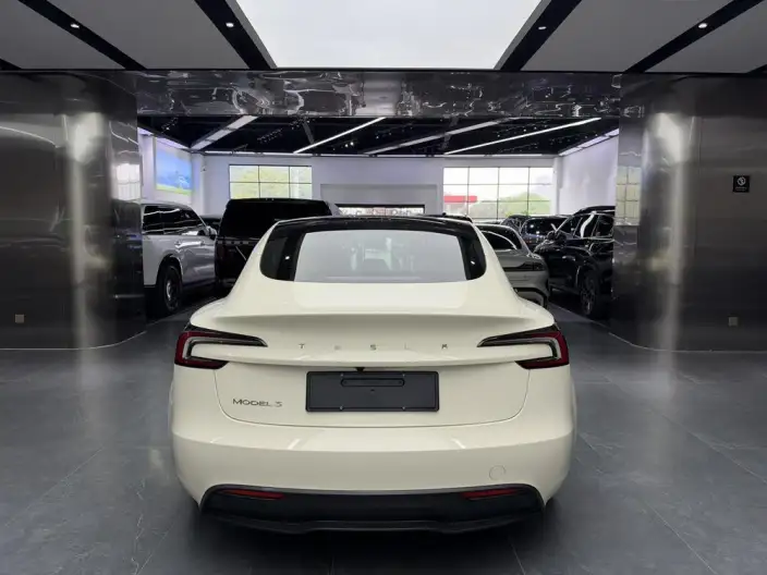 Model 3 2025 Model Rear-wheel drive version – фото 4