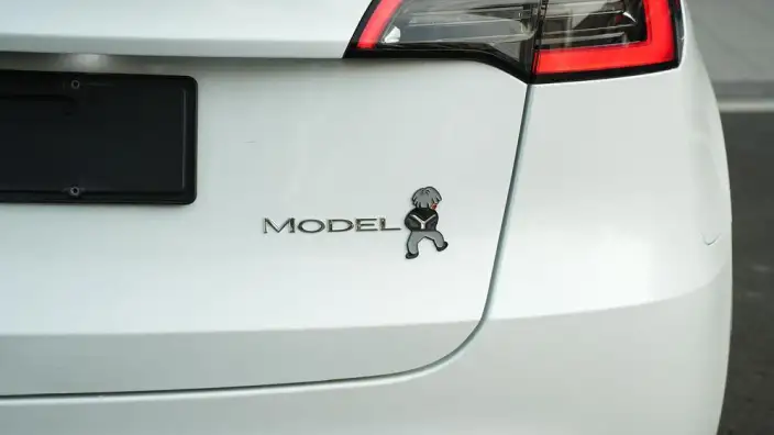 Model Y 2024 Model Rear-wheel drive version – фото 8