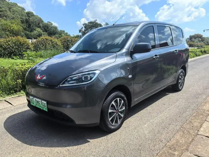 Wuling Hongguang EV Edition 2024 Model 300KM Standard Model – фото 10