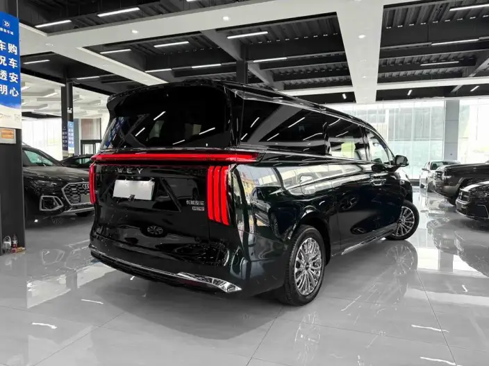Wey Gaoshan P HEV 2025 Model 4WD Wey Gaoshan 9 – фото 6