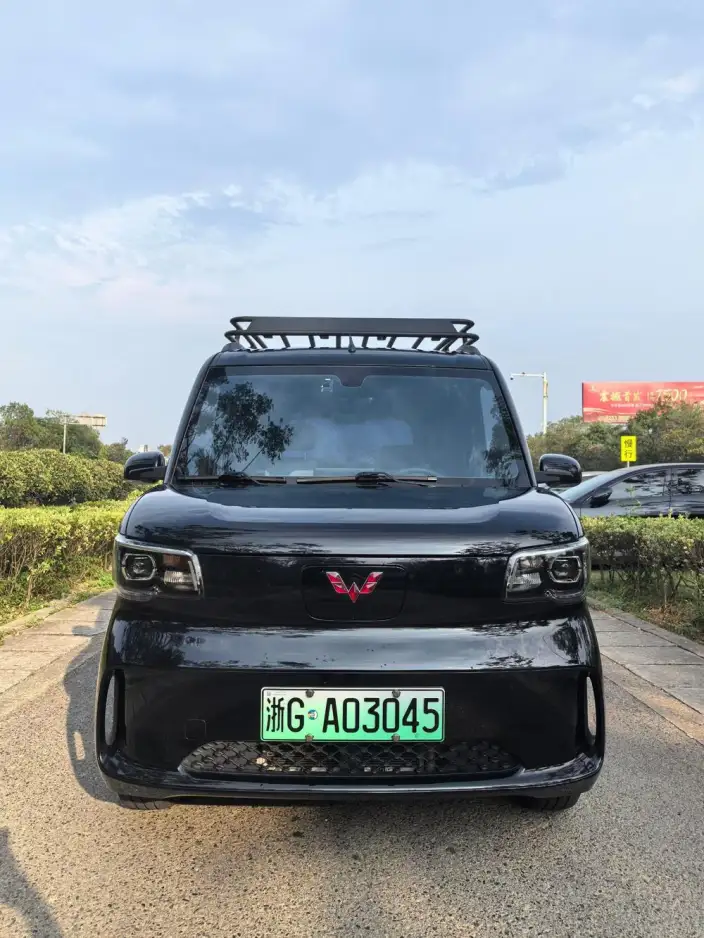 WULING Sunshine EV 2025 Model Enterprising Model