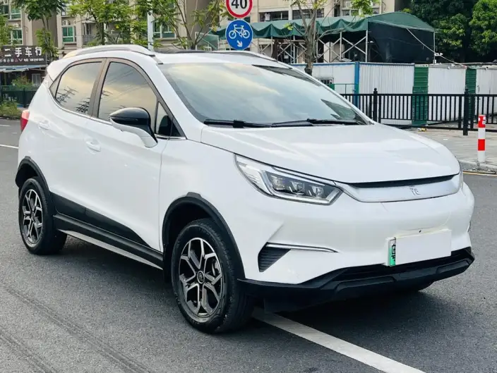 Yuan Pro 2021 Model 401KM Noble Model – фото 3