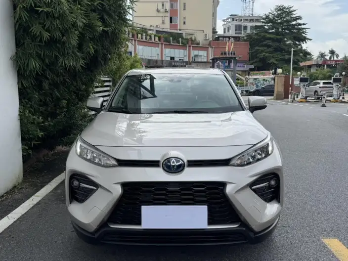 Toyota Wildlander 2020 Model Hybrid 2.5L 2WD Luxury Model – фото 2