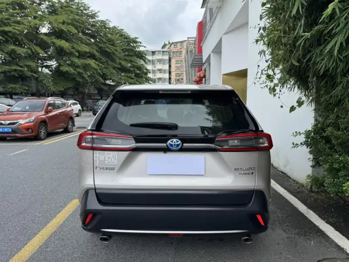 Toyota Wildlander 2020 Model Hybrid 2.5L 2WD Luxury Model – фото 6