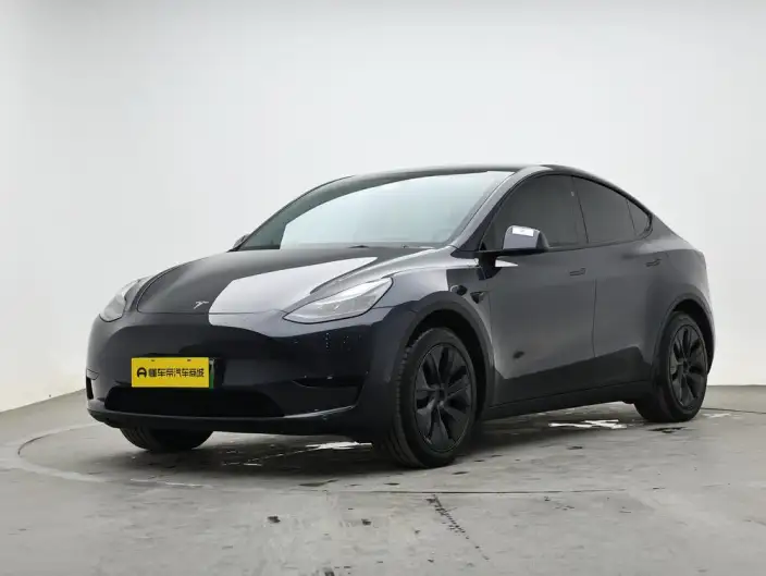 Model Y 2024 Model Rear-wheel drive version – фото 1