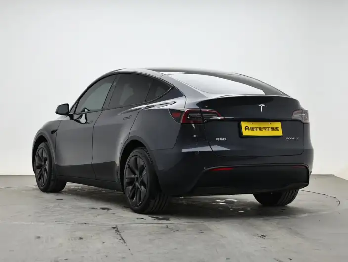 Model Y 2024 Model Rear-wheel drive version – фото 5