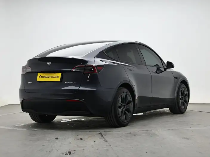 Model Y 2024 Model Rear-wheel drive version – фото 7
