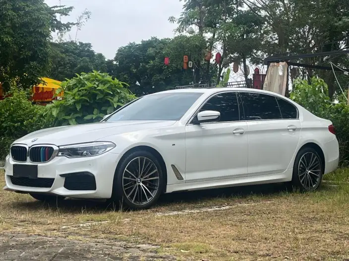 BMW 5 Series 2020 Model 530Li Leading Model M Sports Set – фото 1