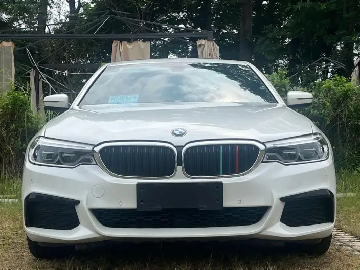 BMW 5 Series 2020 Model 530Li Leading Model M Sports Set – фото 2