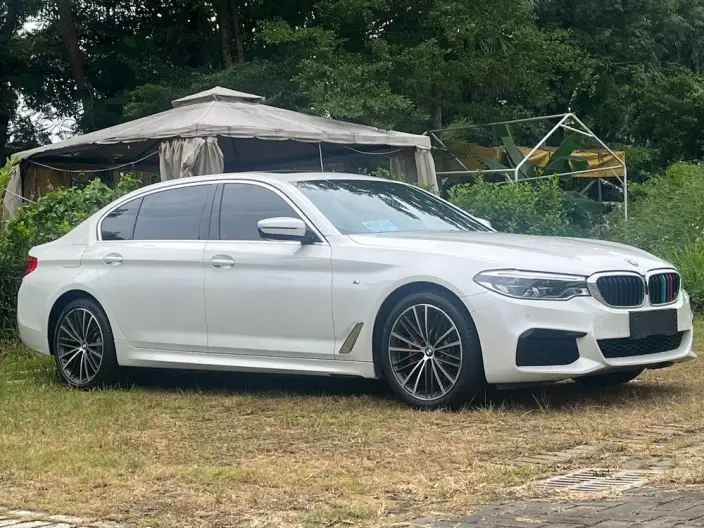 BMW 5 Series 2020 Model 530Li Leading Model M Sports Set – фото 3