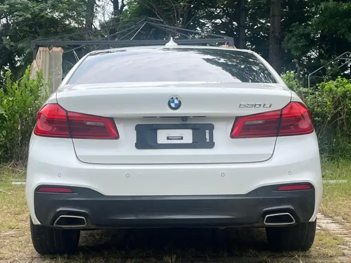 BMW 5 Series 2020 Model 530Li Leading Model M Sports Set – фото 5