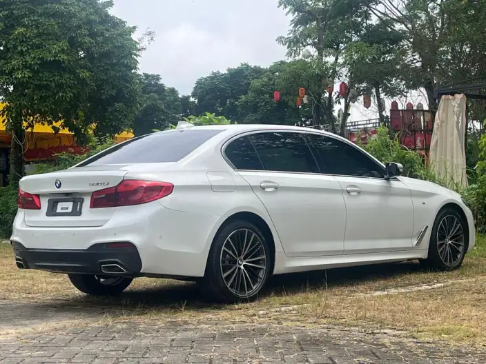 BMW 5 Series 2020 Model 530Li Leading Model M Sports Set – фото 6