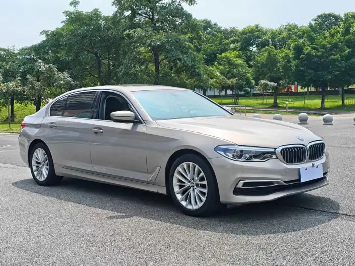 BMW 5 Series 2020 Model 525Li Luxury Set – фото 3