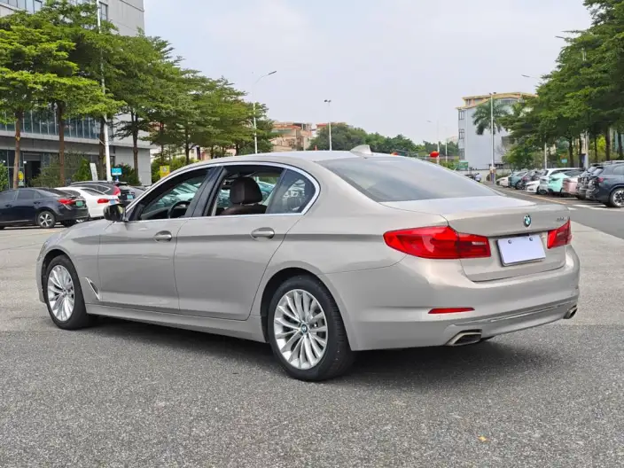 BMW 5 Series 2020 Model 525Li Luxury Set – фото 4