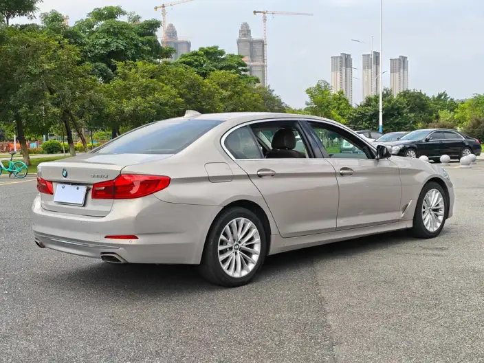 BMW 5 Series 2020 Model 525Li Luxury Set – фото 6
