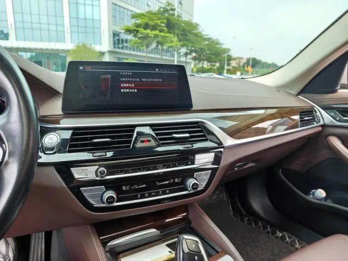 BMW 5 Series 2020 Model 525Li Luxury Set – фото 9