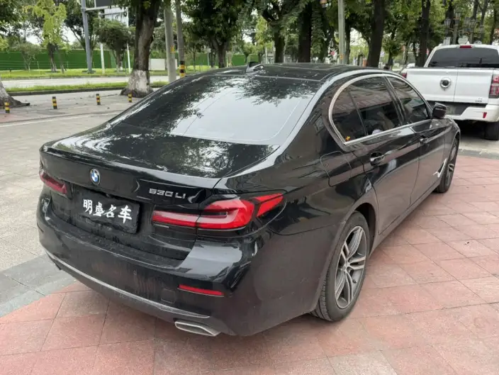 BMW 5 Series 2021 Model 530Li Leading Model Luxury Set – фото 5