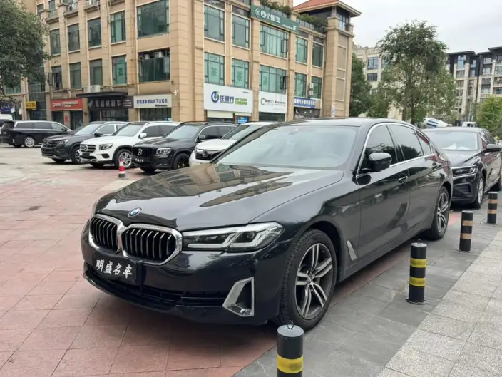 BMW 5 Series 2021 Model 530Li Leading Model Luxury Set – фото 10