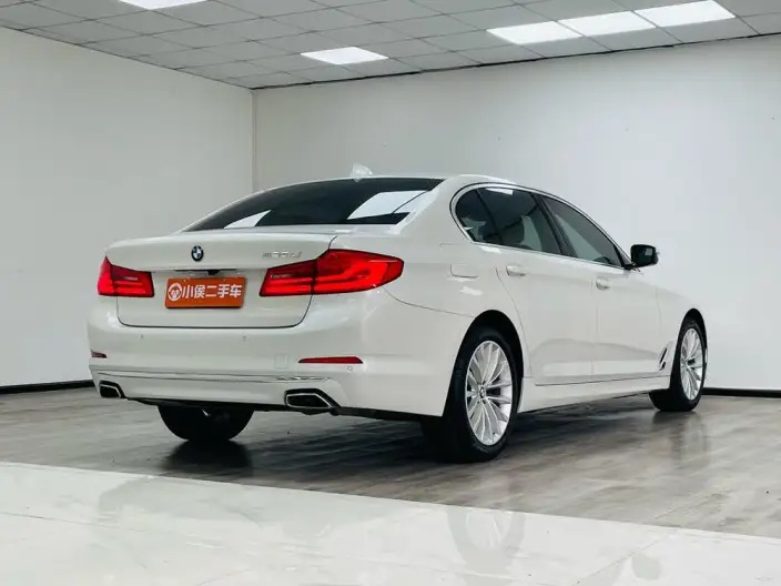 BMW 5 Series 2020 Model 525Li Luxury Set – фото 6
