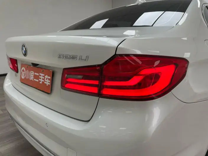 BMW 5 Series 2020 Model 525Li Luxury Set – фото 8