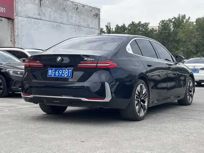 BMW 5 Series 2024 Model 530Li Exclusive Model Luxury Set – фото 6