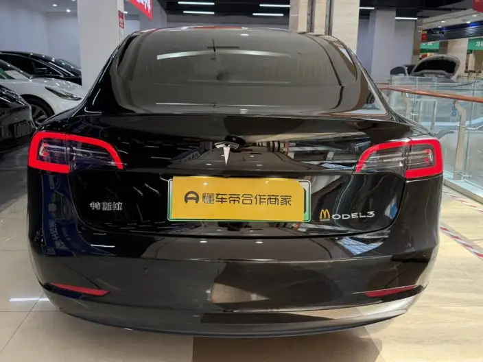 Model 3 2021 Model Standard Battery Life Rear Drive L Class Edition – фото 5