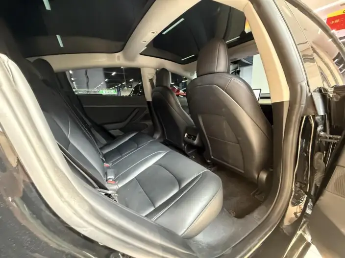 Model 3 2021 Model Standard Battery Life Rear Drive L Class Edition – фото 7