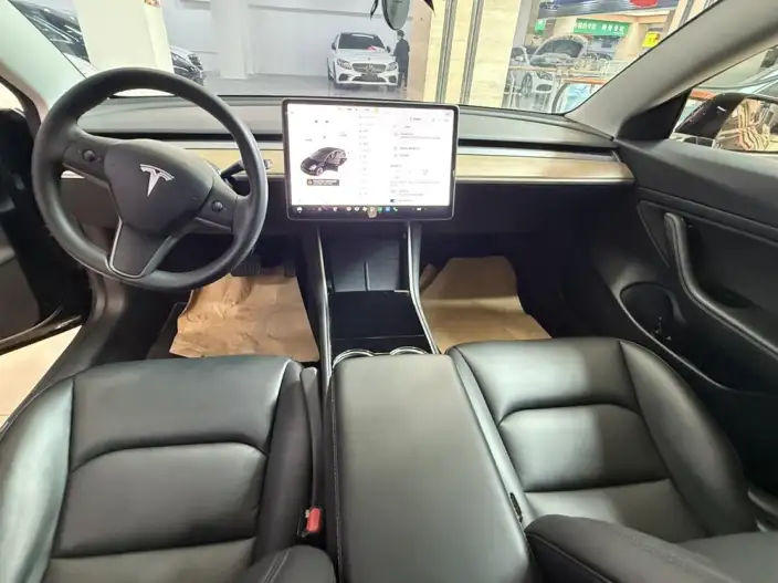 Model 3 2021 Model Standard Battery Life Rear Drive L Class Edition – фото 9