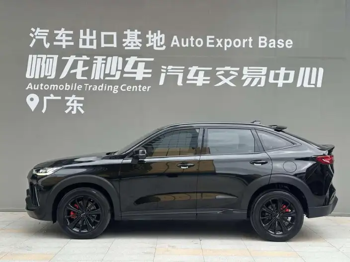 Haval H6S 2022 Model 2.0T Smart Run Edition – фото 3