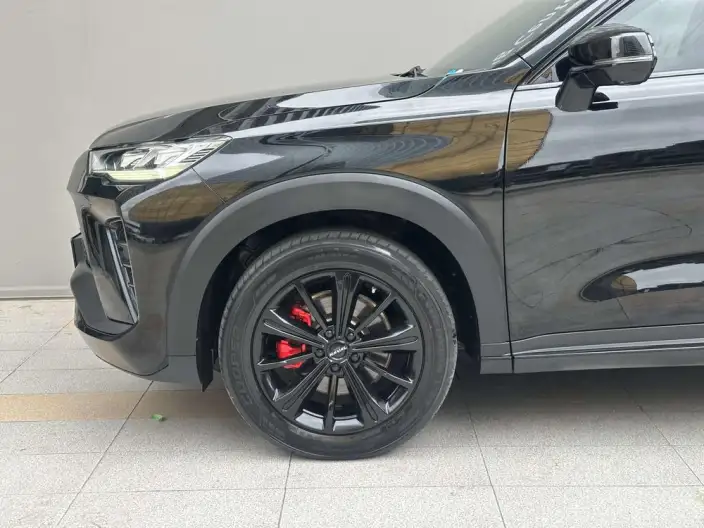 Haval H6S 2022 Model 2.0T Smart Run Edition – фото 6
