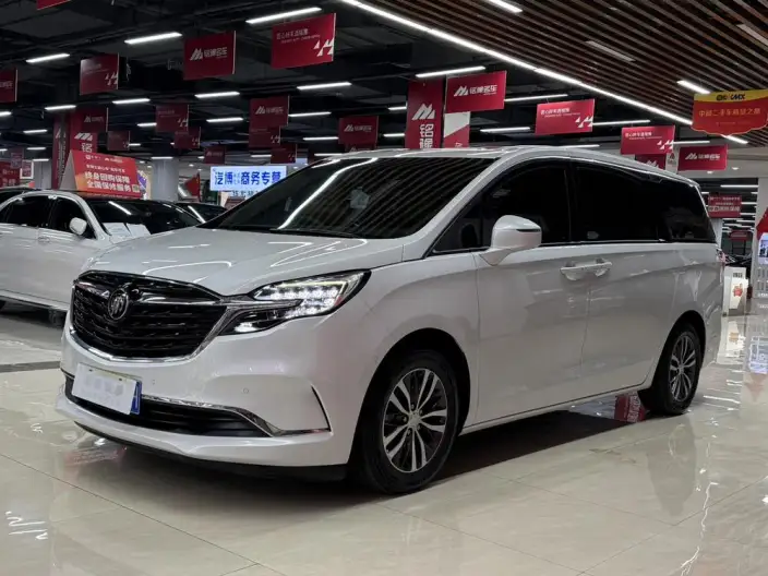 Buick GL8 2020 Model ES Luzun 653T Exclusive Model – фото 1