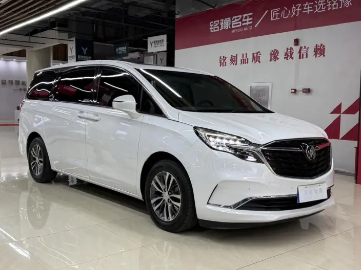 Buick GL8 2020 Model ES Luzun 653T Exclusive Model – фото 3