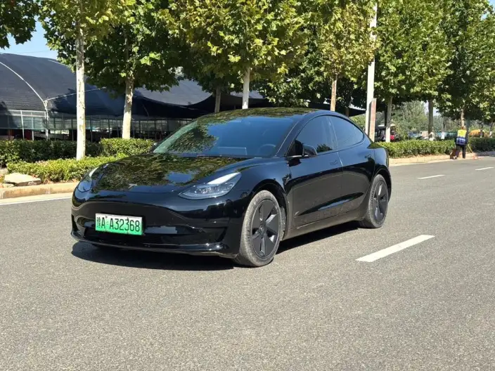 Model 3 2022 Model Rear-wheel drive version – фото 1