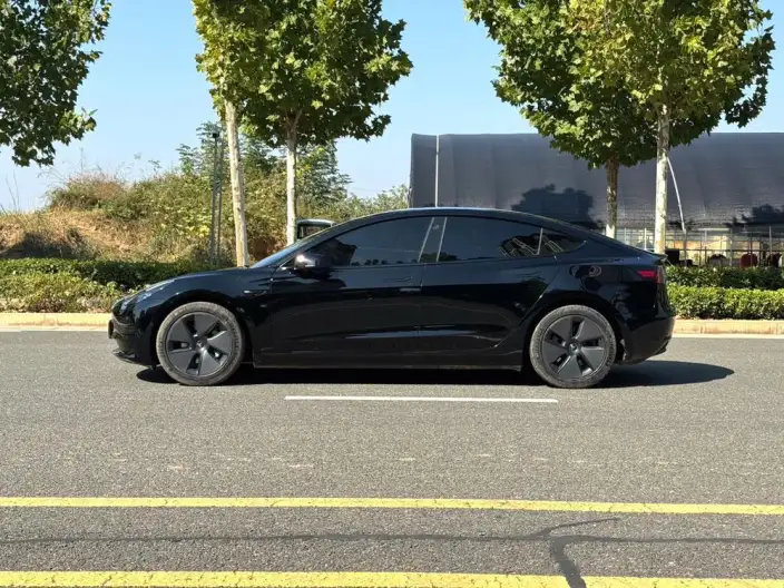 Model 3 2022 Model Rear-wheel drive version – фото 3