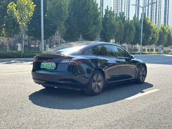 Model 3 2022 Model Rear-wheel drive version – фото 6