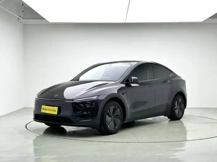 Model Y 2025 Model Rear-wheel drive version – фото 1